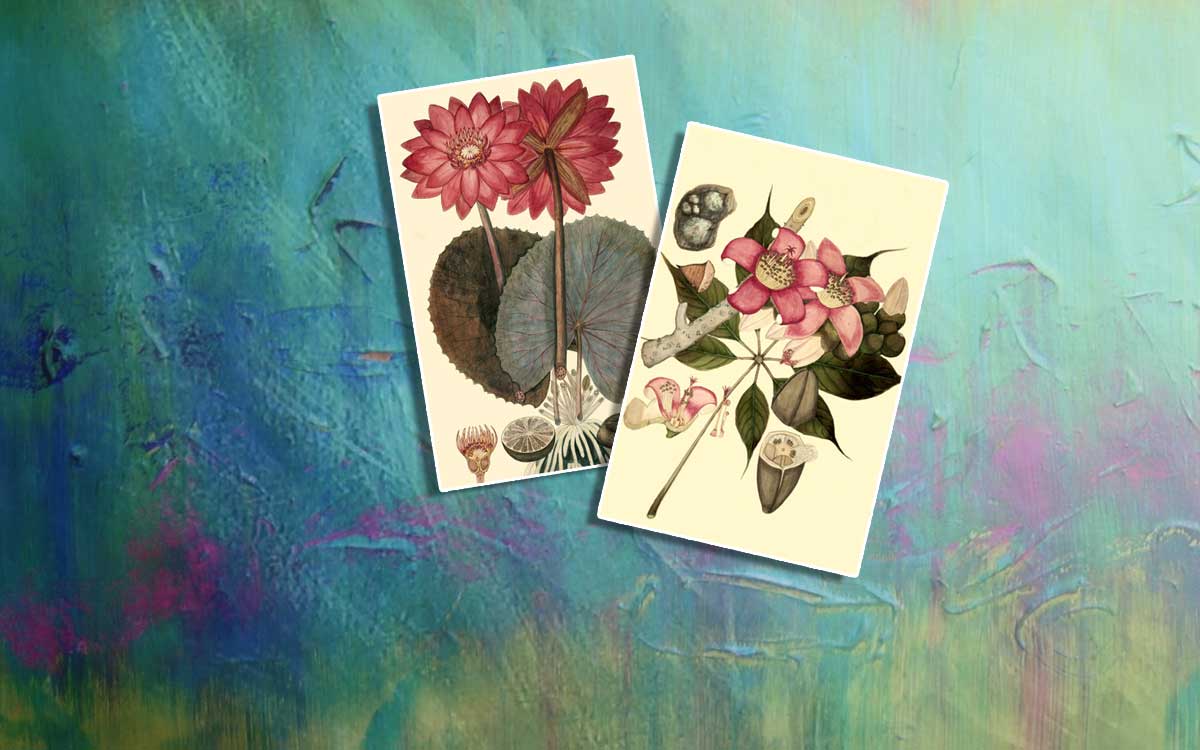 Biju Mukherjee Painting Photography